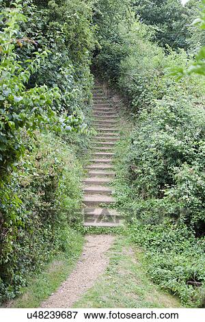 Stock Photo - Path of stairs in British Park. Fotosearch