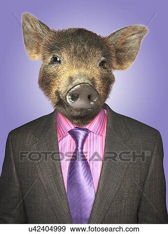 Stock Photo - Piglet dressed business man. Fotosearch