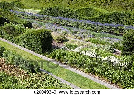 Stock Photo - Rows of beautifully designed hedges. Fotosearch