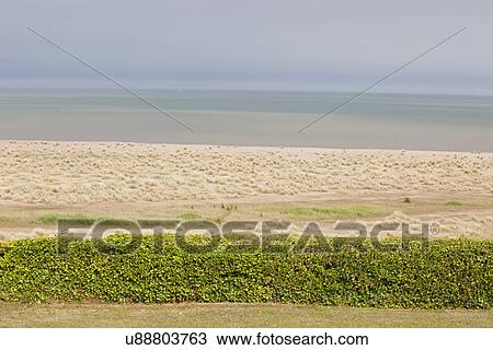 Sand dunes on Norfolk Coastline View Large Photo Image Stock Image - Sand dunes on Norfolk Coastline . Fotosearch