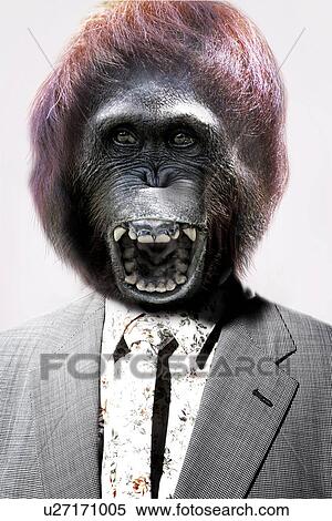 Senior man with gorilla's head laughing in front White Background View Large Photo Image Stock Photography - Senior man with gorilla's head laughing in front White Background. Fotosearch