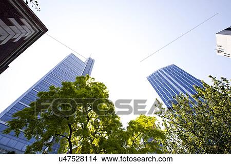 Picture - Skyscrapers seen though trees. Fotosearch