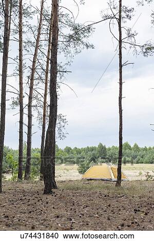 Stock Image - Tent in forest against cloudy sky. Fotosearch