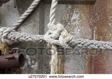 Tied knot rope, close up View Large Photo Image Stock Image - Tied knot rope, close up. Fotosearch