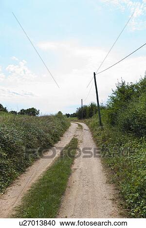 Unpaved road amidst plants View Large Photo Image Stock Image - Unpaved road amidst plants. Fotosearch