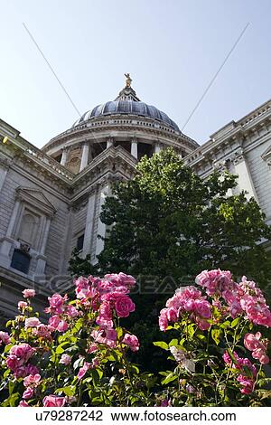 View from below of St. Paul's cathedral, London View Large Photo Image Stock Image - View from below of St. Paul's cathedral, London. Fotosearch