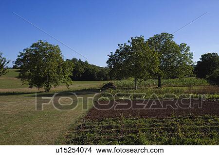 View of agricultural field View Large Photo Image Picture - View of agricultural field. Fotosearch