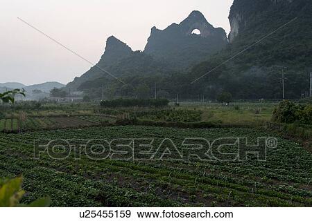 Stock Photo - Agricultural field with Moon Hill in the background, Yangshuo, Guilin, Guangxi Province, China. Fotosearch