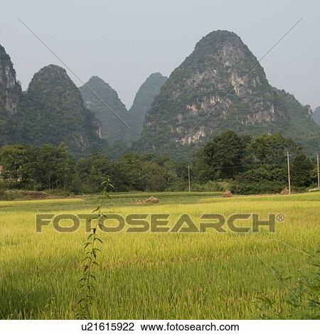 Stock Image - Agricultural field with mountains in the background, Yangshuo, Guilin, Guangxi Province, China. Fotosearch