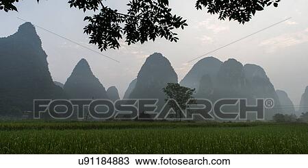 Stock Image - Agricultural field with mountains in the background, Yangshuo, Guilin, Guangxi Province, China. Fotosearch