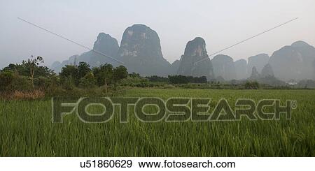 Stock Photo - Agricultural field with mountains in the background, Yangshuo, Guilin, Guangxi Province, China. Fotosearch