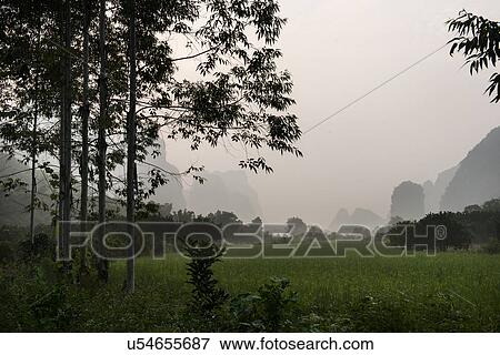 Agricultural field with mountains in the background, Yangshuo, Guilin, Guangxi Province, China View Large Photo Image Stock Photo - Agricultural field with mountains in the background, Yangshuo, Guilin, Guangxi Province, China. Fotosearch