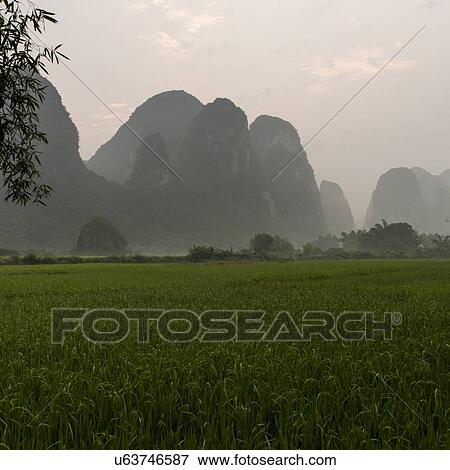 Stock Photo - Agricultural field with mountains in the background, Yangshuo, Guilin, Guangxi Province, China. Fotosearch
