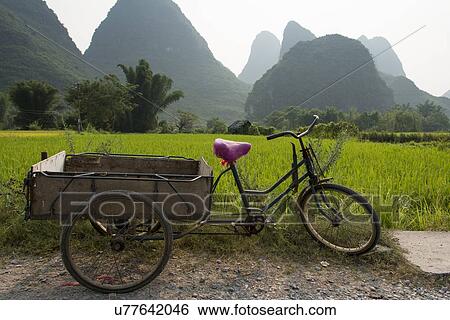Bicycle cart in a field, Yangshuo, Guilin, Guangxi Province, China View Large Photo Image Stock Photograph - Bicycle cart in a field, Yangshuo, Guilin, Guangxi Province, China. Fotosearch