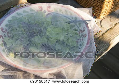 Stock Photo - Bowl of salad greens covered with a cloth, Lake of The Woods, Keewatin, Ontario, Canada. Fotosearch