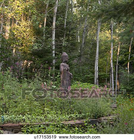 Buddha statue in a forest, Lake of The Woods, Ontario, Canada View Large Photo Image Stock Photo - Buddha statue in a forest, Lake of The Woods, Ontario, Canada. Fotosearch