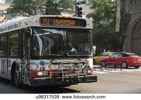 Stock Photo - Bus moving on a road in Chicago, Cook County, Illinois, USA. Fotosearch