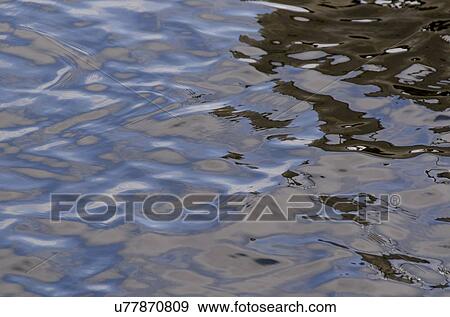 Close-up of water surface in Lake of The Woods, Keewatin, Ontario, Canada View Large Photo Image Stock Photo - Close-up of water surface in Lake of The Woods, Keewatin, Ontario, Canada. Fotosearch