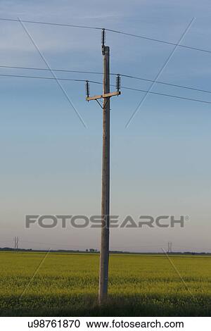 Stock Image - Electric cable line in a field, Manitoba, Canada. Fotosearch