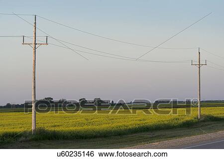 Electric cable line in a prairie field, Manitoba, Canada View Large Photo Image Stock Photograph - Electric cable line in a prairie field, Manitoba, Canada. Fotosearch