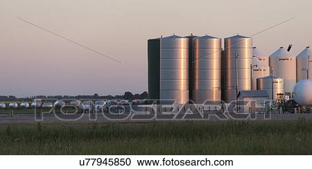 Grain silos in a prairie field, Manitoba, Canada View Large Photo Image Stock Image - Grain silos in a prairie field, Manitoba, Canada. Fotosearch