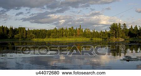 Stock Image - Lake at dawn, Lake Of The Woods, Keewatin, Ontario, Canada. Fotosearch
