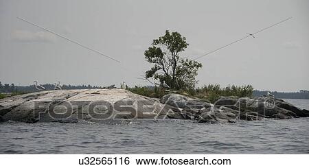 Lake at dusk, Lake Of The Woods, Keewatin, Ontario, Canada View Large Photo Image Stock Photograph - Lake at dusk, Lake Of The Woods, Keewatin, Ontario, Canada. Fotosearch