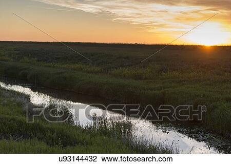 Stock Image - Marshland at sunrise, Manitoba, Canada. Fotosearch