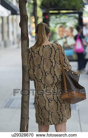 Stock Image - Rear view of a woman leaning against a tree on the street, Chicago, Cook County, Illinois, USA. Fotosearch