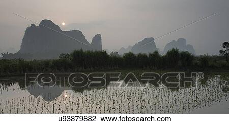 Reeds with mountains in the background, Yangshuo, Guilin, Guangxi Province, China View Large Photo Image Stock Image - Reeds with mountains in the background, Yangshuo, Guilin, Guangxi Province, China. Fotosearch