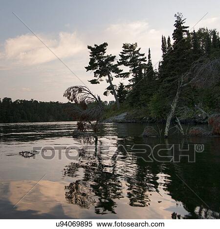 Reflection of trees along shoreline, Lake of The Woods, Ontario, Canada View Large Photo Image Stock Photography - Reflection of trees along shoreline, Lake of The Woods, Ontario, Canada. Fotosearch