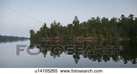 Stock Photography - Reflection of trees in the lake, Lake Of The Woods, Keewatin, Ontario, Canada. Fotosearch