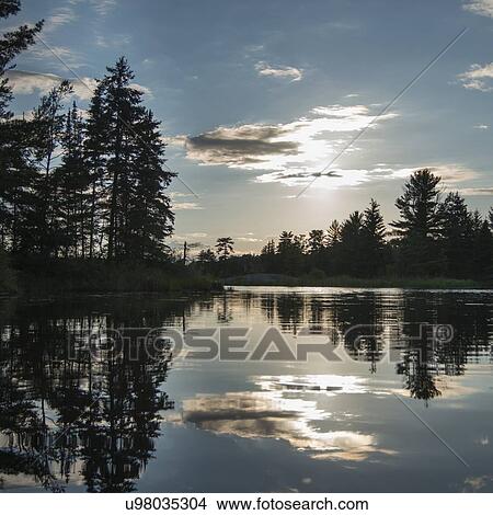 Picture - Reflection of trees, Lake of The Woods, Ontario, Canada. Fotosearch