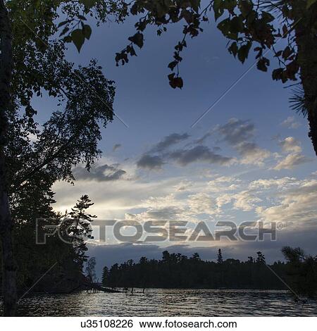 Silhouette of trees at dusk, Lake of The Woods, Ontario, Canada View Large Photo Image Stock Photograph - Silhouette of trees at dusk, Lake of The Woods, Ontario, Canada. Fotosearch