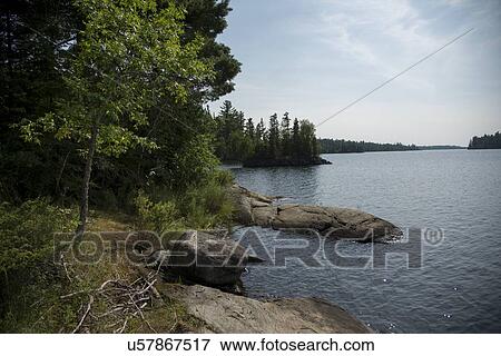 Stock Photo - Trees at the lakeside, Lake of The Woods, Keewatin, Ontario, Canada. Fotosearch
