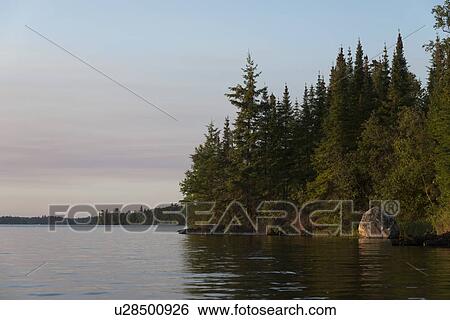 Stock Photograph - Trees at the lakeside, Lake of The Woods, Keewatin, Ontario, Canada. Fotosearch