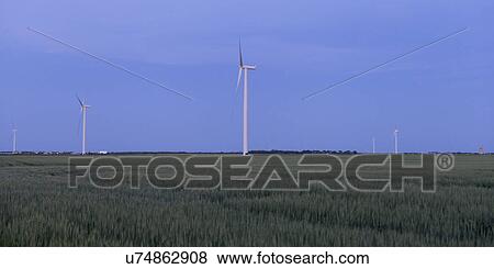 Wind turbines in a prairiefield, Manitoba, Canada View Large Photo Image Stock Photo - Wind turbines in a prairiefield, Manitoba, Canada. Fotosearch