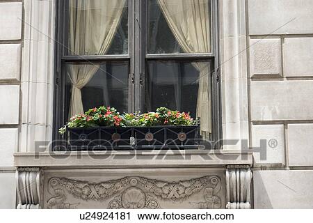Stock Image - Window box on a window, Chicago, Cook County, Illinois, USA. Fotosearch