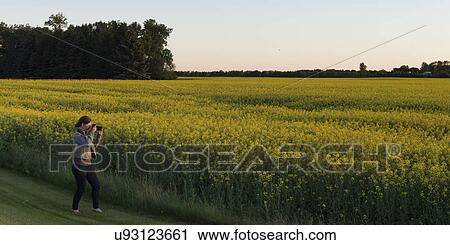 Stock Image - Woman taking picture of field with a digital camera, Manitoba, Canada. Fotosearch