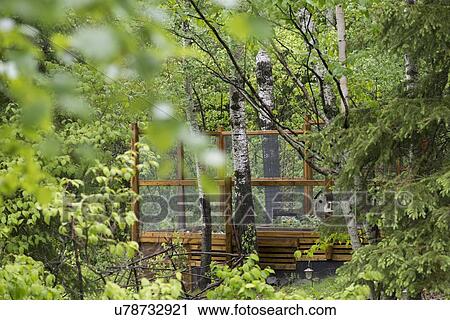Wooden deck platform with a bird cage hanging from a tree, Lake Of The Woods, Keewatin, Ontario, Canada View Large Photo Image Stock Image - Wooden deck platform with a bird cage hanging from a tree, Lake Of The Woods, Keewatin, Ontario, Canada. Fotosearch