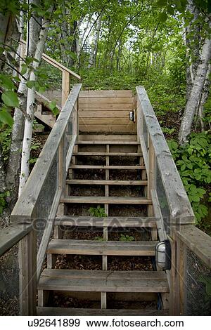 Wooden staircase in forest, Lake of The Woods, Keewatin, Ontario, Canada View Large Photo Image Stock Photo - Wooden staircase in forest, Lake of The Woods, Keewatin, Ontario, Canada. Fotosearch
