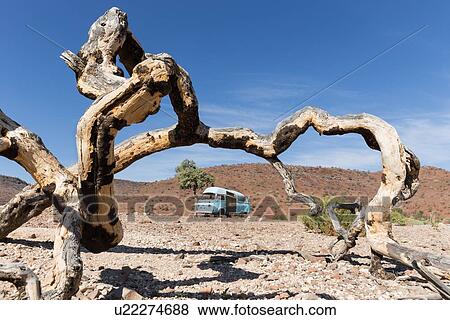 Stock Photo - Abandoned bright blue dormobile van, propped up on rocky terrain of desert framed by tree branch on ground, hills beyond in bright blue sky, Palmwag Concession, Damaraland, Namibia, South West Africa. Fotosearch