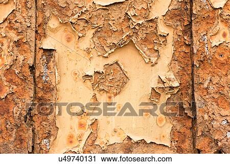 Abandoned rusty oil rig on Skeleton Coast, detail of door texture, Namibia, South West Africa View Large Photo Image Stock Image - Abandoned rusty oil rig on Skeleton Coast, detail of door texture, Namibia, South West Africa. Fotosearch