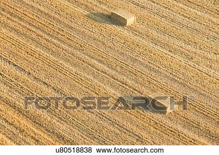 Stock Photo - Aerial view of freshly mown hayfields with ridged hay piles, in diagonal lines, and two hay bales, detail view in early morning sunshine, Umbria, Italy. Fotosearch