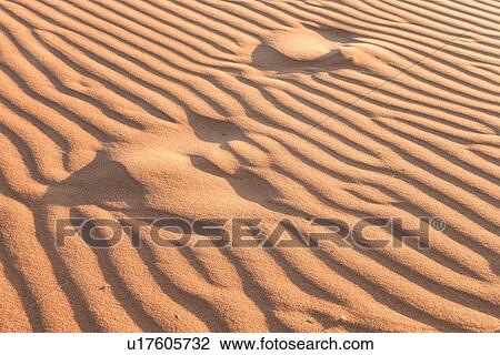 Close up of sand being blown into ripple pattern by winds, late afternoon sunlight, Namib desert, Namibia, South West Africa View Large Photo Image Stock Image - Close up of sand being blown into ripple pattern by winds, late afternoon sunlight, Namib desert, Namibia, South West Africa. Fotosearch
