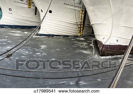 Detail of three fishing boats moored in sea ice with ropes forming patterns in the ice, Rausu harbour, Shiretoko Peninsula, Hokkaido, Japan View Large Photo Image Stock Image - Detail of three fishing boats moored in sea ice with ropes forming patterns in the ice, Rausu harbour, Shiretoko Peninsula, Hokkaido, Japan. Fotosearch