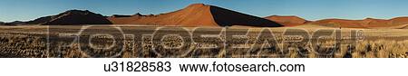 Stock Image - Panorama view of red sand dune of different tones in late afternoon sunlight, blue sky above, foreground of scrub grass, Namib desert, Namibia, South West Africa. Fotosearch