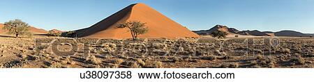 Stock Photo - Panorama view of red sand dune of different tones in late afternoon sunlight, blue sky above, foreground of scrub grass, Namib desert, Namibia, South West Africa. Fotosearch