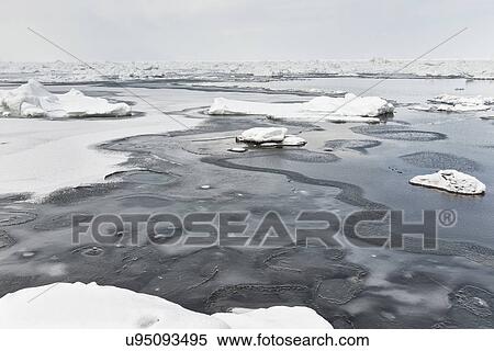 Stock Photography - Rocks covered with snow and ice patches forming in the frozen sea creating patterns and textures, monochrome image, Shiretoko Peninsula, Hokkaido, Japan. Fotosearch