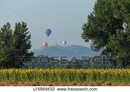 Stock Image - Todi Mongolfiere Hot Air Balloon Festival; hot air balloons in sky over freshly mown hay and sunflower fields of Middle Tiber Valley, with hilltop town of Todi in distance, in early morning sunshine, Umbria, Italy. Fotosearch